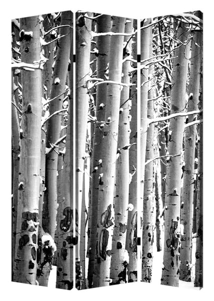 1" x 48" x 72" Multi Color Wood Canvas Birch  Screen