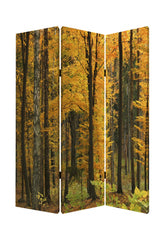 1 x 48 x 72 Multi Color Wood Canvas Autumn Journey  Screen