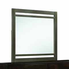 Walnut Wooden Transitional Rectangular Mirror