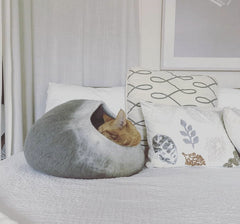 Grey and White Cat Cave Bed