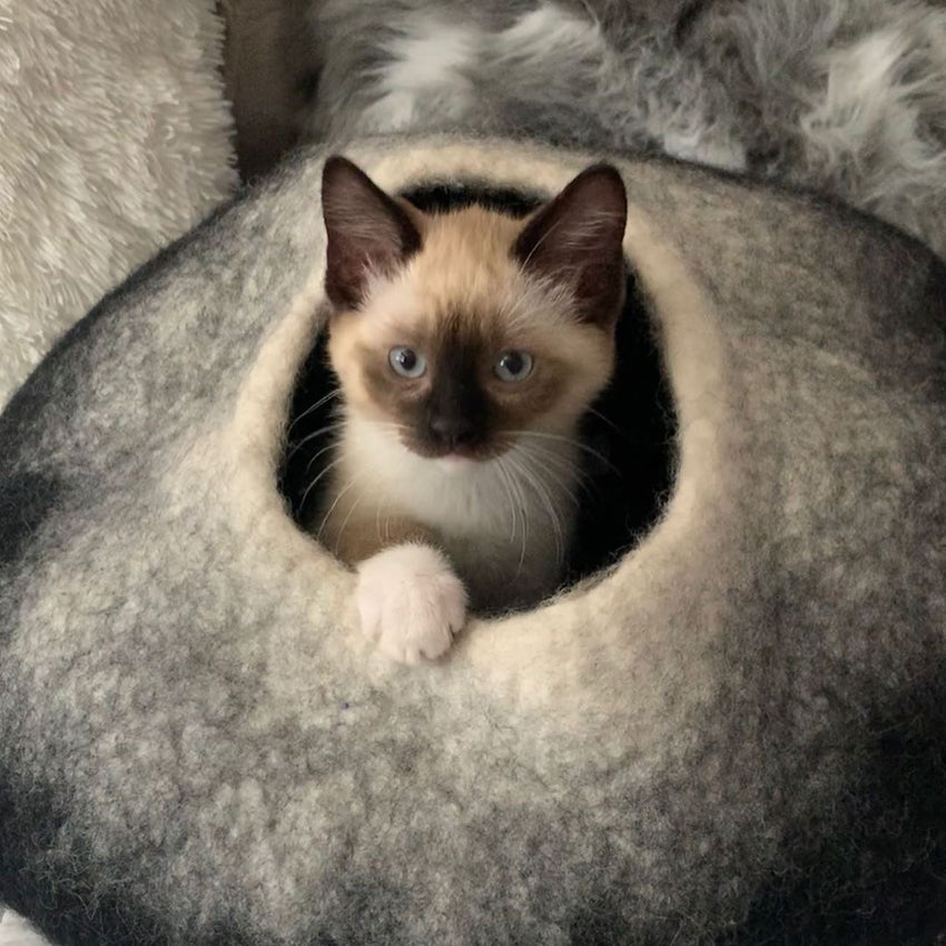 Charcoal and White Cat Cave Bed